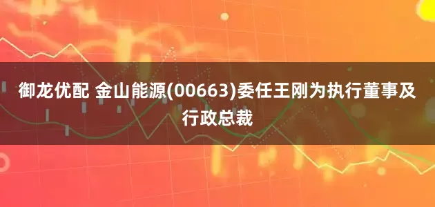 御龙优配 金山能源(00663)委任王刚为执行董事及行政总裁