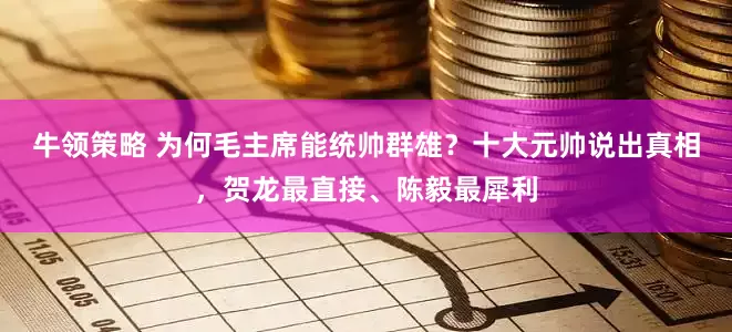 牛领策略 为何毛主席能统帅群雄？十大元帅说出真相，贺龙最直接、陈毅最犀利